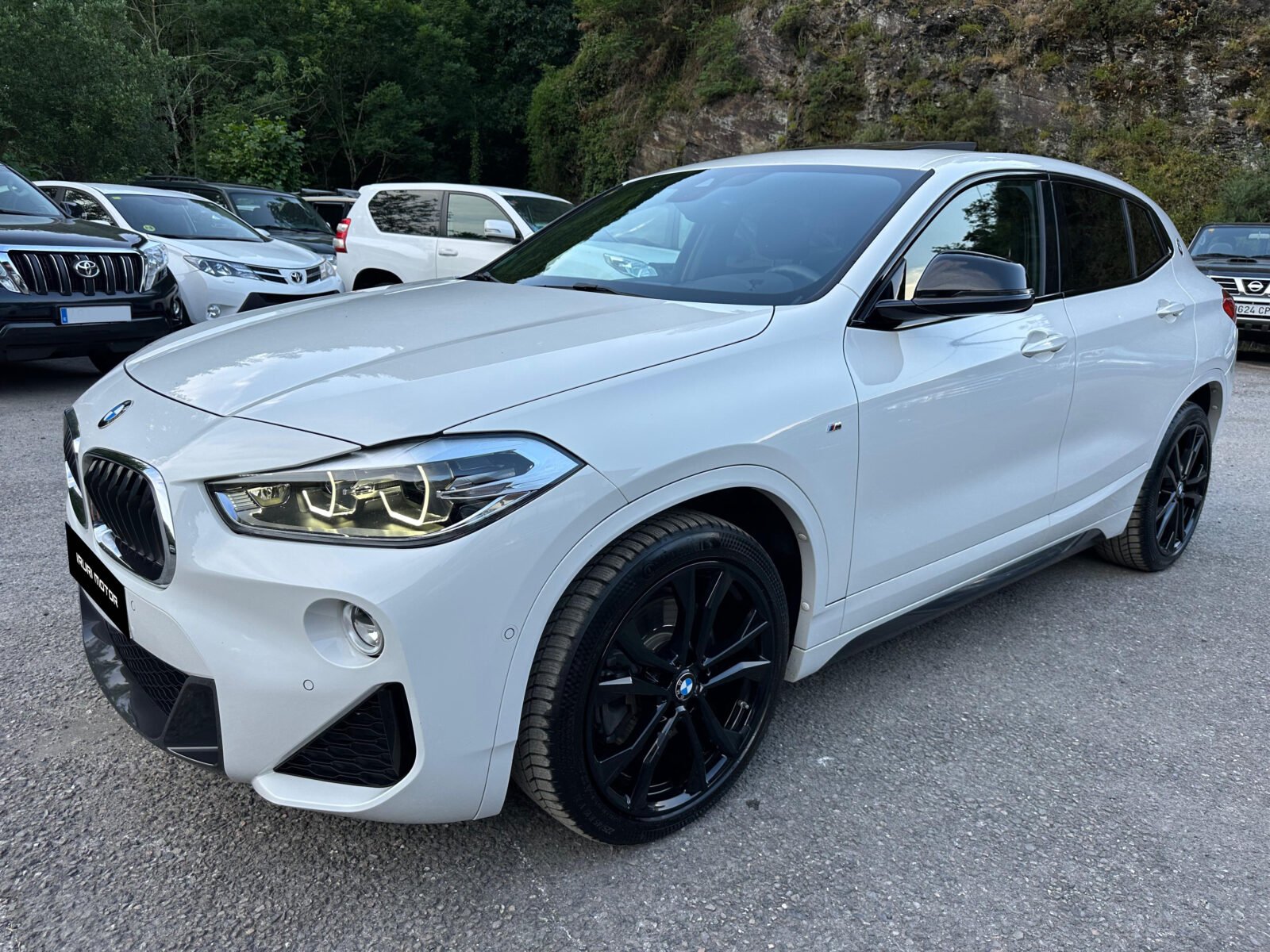 BMW X2 xDrive20dA