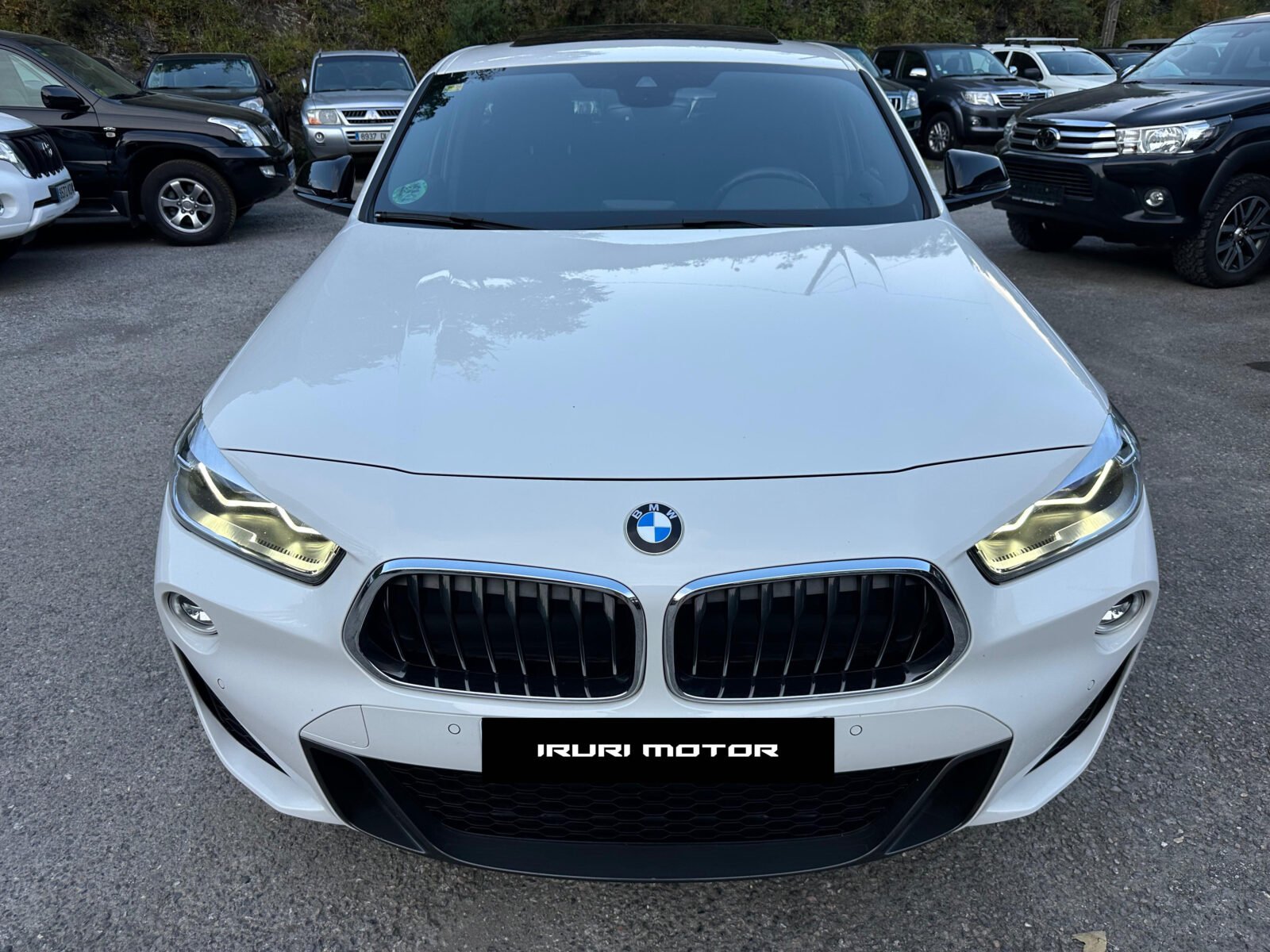 BMW X2 xDrive20dA