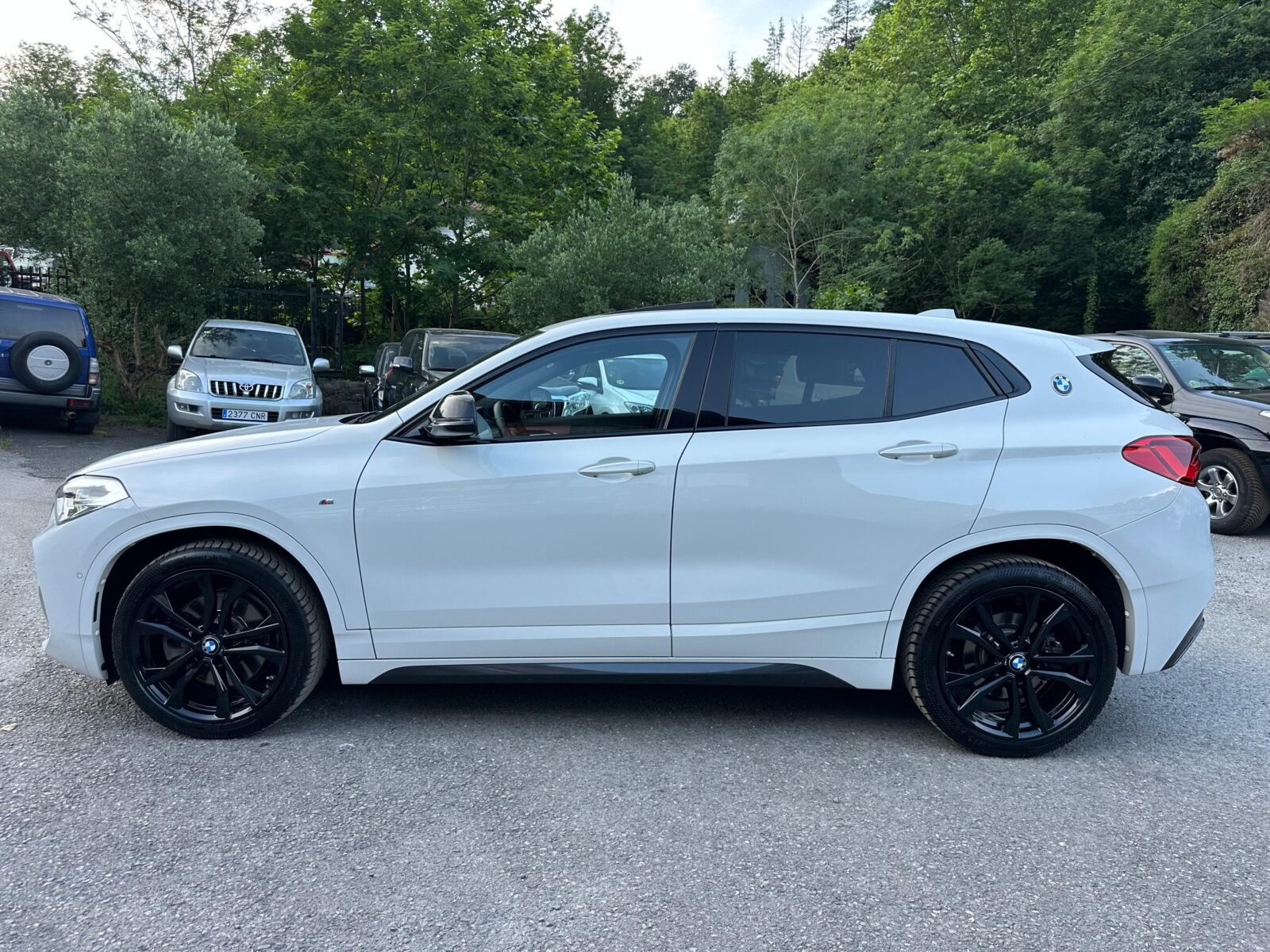 BMW X2 xDrive20dA